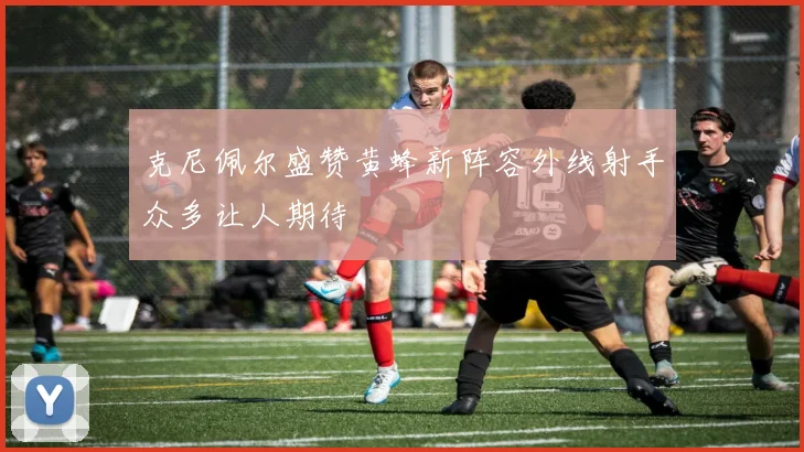 克尼佩尔盛赞黄蜂新阵容外线射手众多让人期待